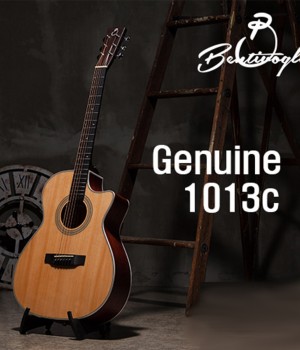 벤티볼리오 제뉴인 Genuine1013c 입문용 기타