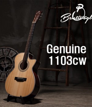 벤티볼리오 제뉴인 Genuine1103cw 입문용 기타