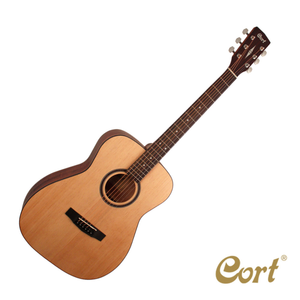 콜트 Cort AF550