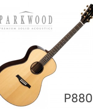 파크우드 Parkwood P880