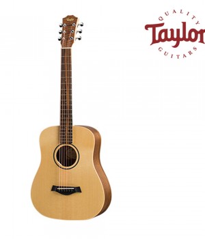 테일러 Taylor BT1