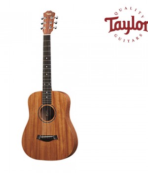 테일러 Taylor BT2