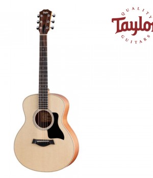 테일러 Taylor GS Mini Sapele