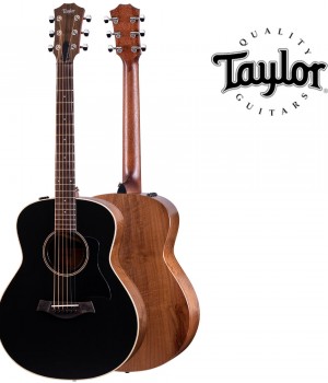 테일러 Taylor GTe Blacktop