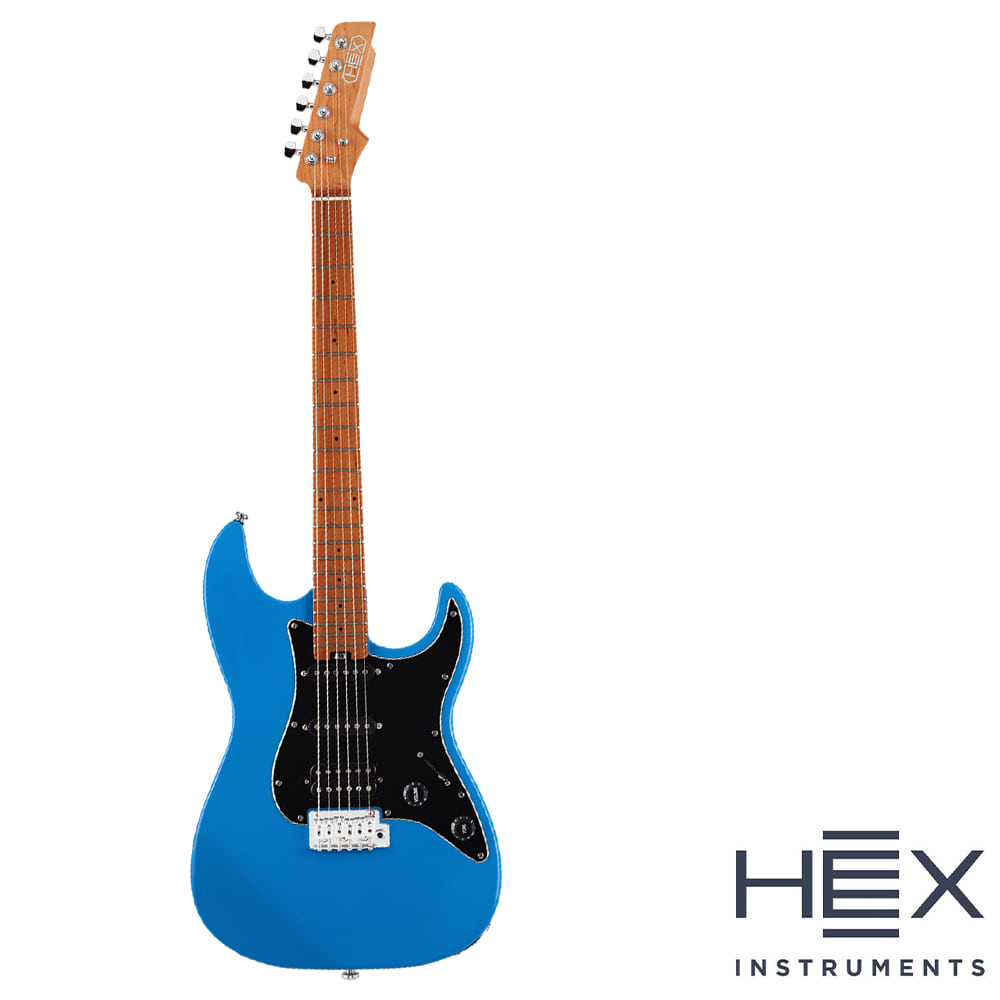 헥스 일렉기타 HEX E300 G/LB 입문용