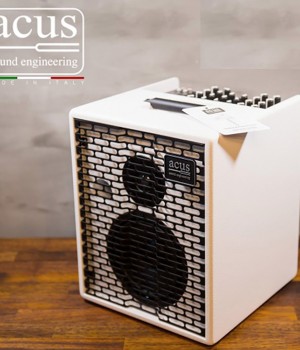 어쿠스앰프 ACUS Oneforstrings 6T White(130W)