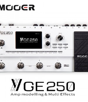 무어 Mooer GE250