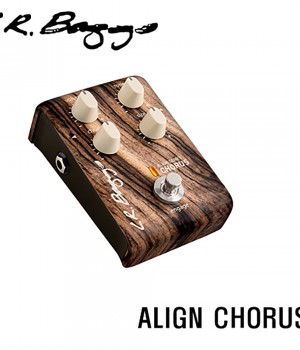 엘알백스 Align Chorus / L.R Baggs Align Chorus